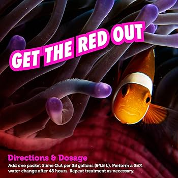 Fritz Slime Out - Cyanobacteria Treatment - 10 Count - Red Slime Remover - Freshwater & Saltwater Aquarium