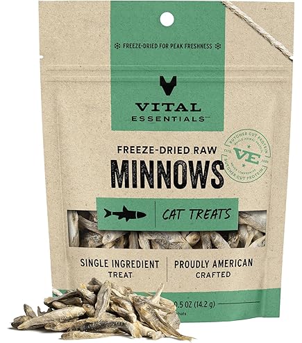Gunni's Salmon Mini Morsel Crunchy Cat Treats, 1.5 oz Bag - Taste of Iceland, Grain-Free Salmon Fish Cat Treats