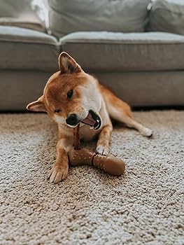 Tall Tails Large 7" Dog Treat Bone Chew / Bully Stick Holder Toy