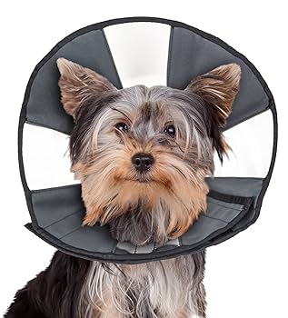 ZenPet Zencone Soft Recovery Collar - Small - 8-12in - Dog/Cat E-Collar Cone