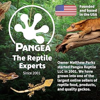 Pangea Silicone Gecko Feeding Ledge - Magnetic Reptile Food Dish - Black