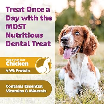 Yummy Combs Dog Dental Treats - Small Breed, Chicken Flavor, 12 oz / 21 Count - Ingenious Flossing Action