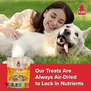 Plato Real Strips Dog Treats - Turkey & Pumpkin, Grain-Free, 3 oz
