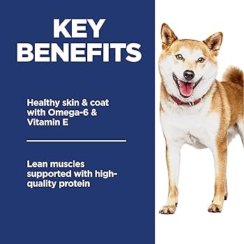 Hill's Science Diet Adult No Corn, Wheat, Soy Chicken Dry Dog Food