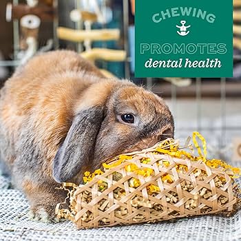 Oxbow Enriched Life Celebration Cupcake - Small Animal Toy & Treat for Rabbits, Guinea Pigs, Hamsters, and Chinchillas