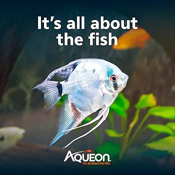 Aqueon Aquarium Essentials Kit - 29 Gallon Fish Tank Starter Kit