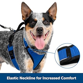 PetSafe EasySport Dog Harness, Blue, Extra Small, Adjustable Padded Harness