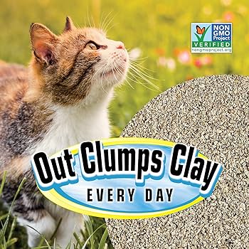 Pioneer Pet SmartCat Natural Clumping Grass Cat Litter - 20 lb Bag, Unscented, Dust-Free