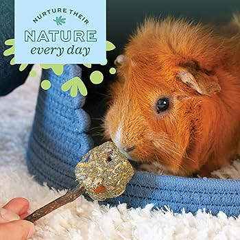 Oxbow Enriched Life Timbells - Small Animal Chew Toy - Rabbit, Guinea Pig, Hamster, Chinchilla - Timothy Hay & Apple Sticks - 2 Count
