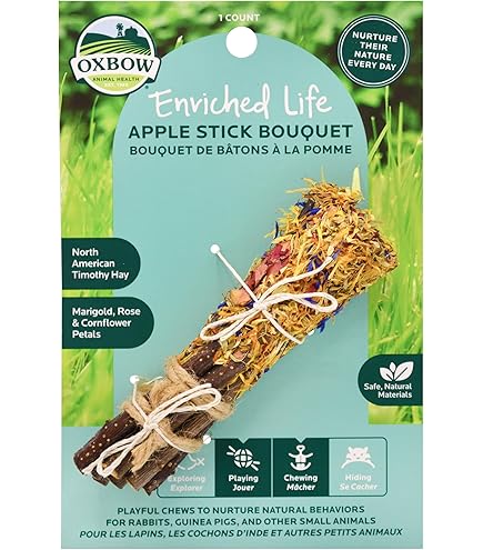 Oxbow Apple Rounds Small Animal Chews - 2 Count (or 3 Pack) - Enriched Life Apple Sticks Treat Toy for Rabbits, Guinea Pigs, Hamsters