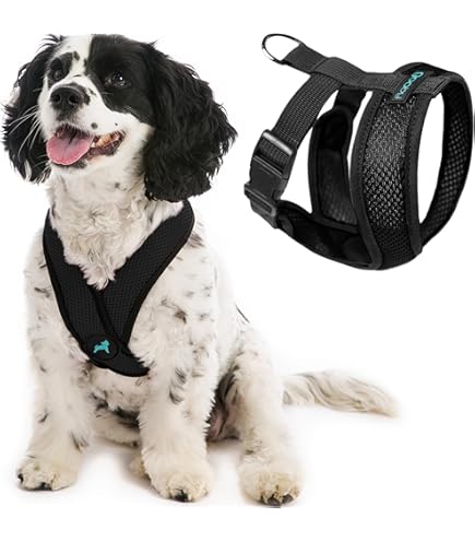 Gooby Comfort X Step-in Harness - Choke Free Small Dog Harness - Black - X-Large