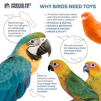 Prevue Pet Playfuls Bow Dangles Bird Toy #62515 - Mental & Physical Stimulation