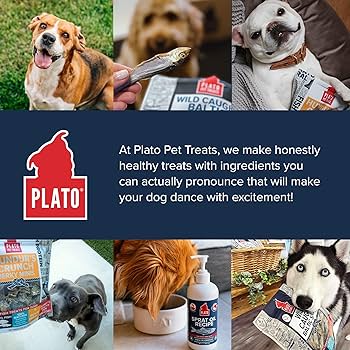 Plato Baltic Sprat Dog Treats - Wild Caught, Air Dried Whole Fish - 3 oz Bag