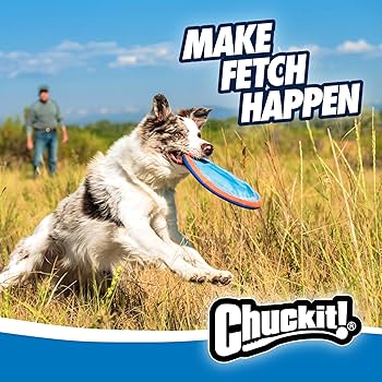 ChuckIt! Paraflight Large Dog Toy - Flying Disc for Fetch, Floats in Water
