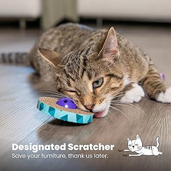 Petstages Spin and Scratch Cat Toy 2-Pack - Interactive Play, Multi-Colored