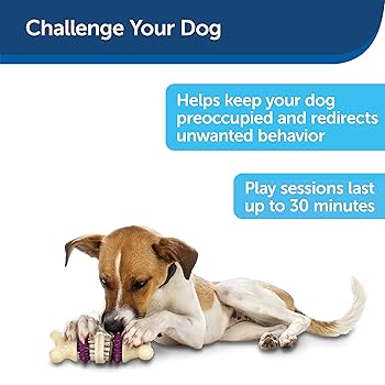 PetSafe Busy Buddy Bristle Bone Dog Toy - Small - Treat Holding Chew Toy