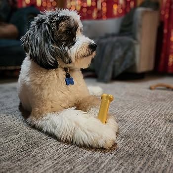 Nylabone Dura Chew Peanut Butter Regular Dog Chew Toy - Up to 25 lbs