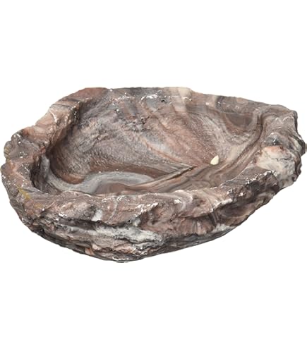 Exo Terra Invertebrate Water Dish with Foam - Reptile Terrarium Bowl PT2807