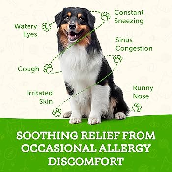 Animal Essentials Seasonal Allergy Herbal Formula - 1 fl oz - Dog & Cat Allergy Relief