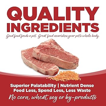 PureVita Grain Free Beef & Red Lentils Dry Dog Food