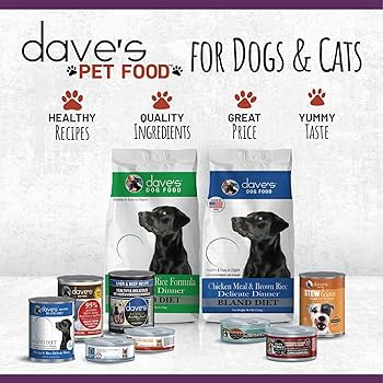 Dave's Naturally Healthy Beef & Rice Canned Dog Food, 13 oz Can (Single)