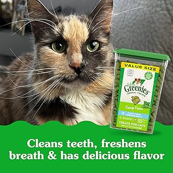 Greenies Feline Dental Cat Treats, Catnip Flavor, 9.75 oz Tub
