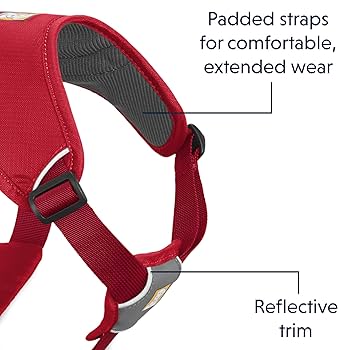 Ruffwear Web Master Dog Harness - Multi-Use Support Harness for Hiking, Service Dogs, Red Currant (L/XL)