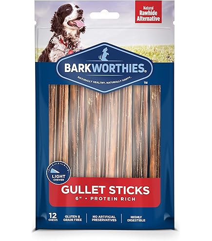 Barkworthies Braided Beef Gullet 12" Dog Treat - Natural Chew Stick