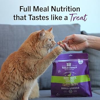 Stella & Chewy's Freeze-Dried Raw Duck Duck Goose Dinner Morsels Cat Food, 18 oz