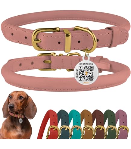 Coastal Pet Circle T Oak Tanned Leather Round Dog Collar Black 1" x 22"