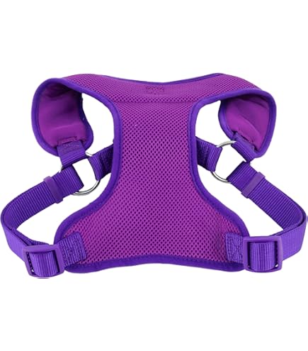 Coastal Standard Adjustable Dog Harness, Purple, 1" x 22"-38"