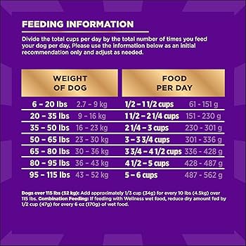 Wellness CORE+ Sensitive Skin & Stomach Salmon & Rice Recipe Dog Food, 18 lb