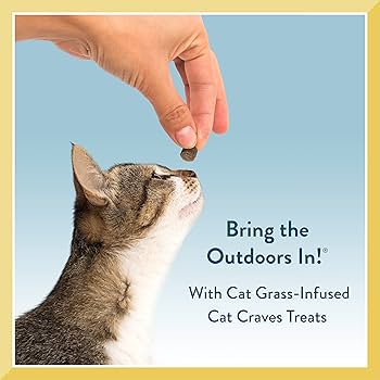 Pet Greens Cat Craves Tuna Semi-Moist Cat Treats - 3 oz