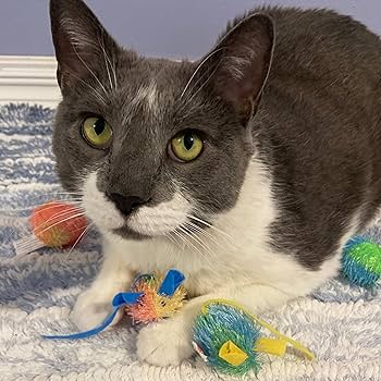 Ethical Pet Spot Stringy Mice & Ball Cat Toy with Catnip - 4 Pack