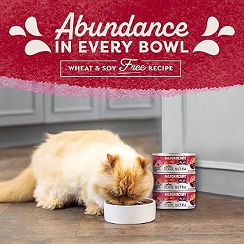 Natural Balance Ultra Premium Salmon Formula Canned Cat Food, 5.5 oz