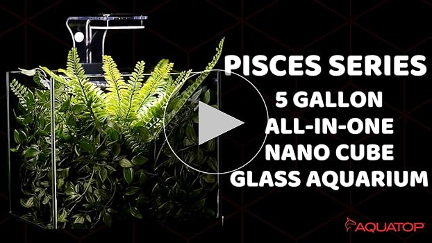 Aquatop Pisces 5 Gallon Nano Cube Glass Aquarium Kit - All-in-One Fish Tank