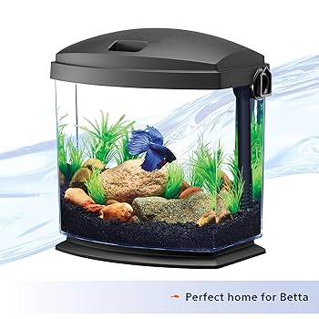 Aqueon BettaBow 1 Gallon Aquarium Kit with Quick Clean Technology