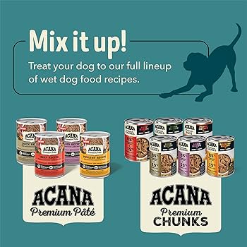 Acana Premium Chunks Beef Recipe in Bone Broth Wet Dog Food, 12.8 oz Grain-Free Can