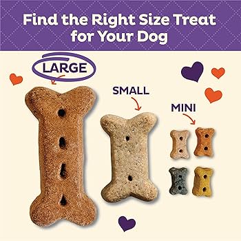 Old Mother Hubbard Bac'N'Cheez Dog Biscuits - Large, Natural Oven-Baked Treats (3.3 lb / 3 lb 5 oz)