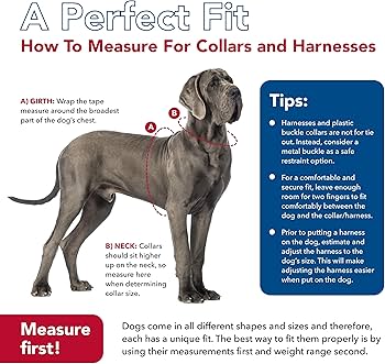 Coastal Circle T Latigo Leather Town Dog Collar, 5/8" x 16", Small