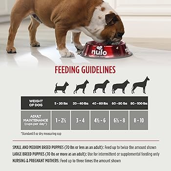 Nulo Freestyle Freeze-Dried Raw Lamb & Raspberries Dog Food, 18 oz Bag, Grain-Free Kibble