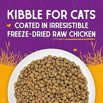 Stella & Chewy's Raw Coated Kibble Cat Food - Cage-Free Chicken Recipe - 2.5 lb Bag