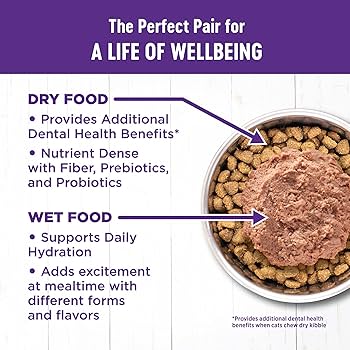 Wellness Complete Health GF Chicken Kitten Food 5.5 lb