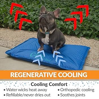 K&H Pet Products Cool Bed III Thermoregulating Pet Bed Large Blue 32" x 44"