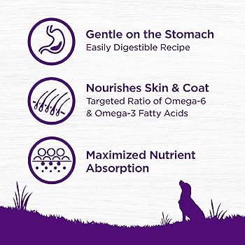 Wellness Complete Health Sensitive Skin & Stomach Salmon & Rice Adult Dry Dog Food, 24 lb Bag