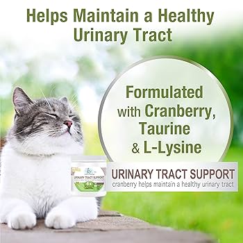 Four Paws Healthy Promise Cat Urinary Tract Supplement Soft Chews - 110 Count