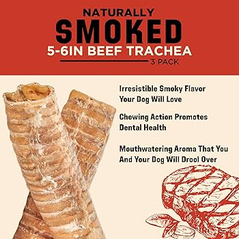 Barkworthies Smoked 6" Trachea Dog Treats, 3-Pack - Natural Beef Chews for Dental Health