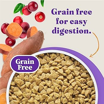 Halo Holistic Grain-Free Chicken & Chicken Liver Recipe Dry Cat Food - 6 lb Bag