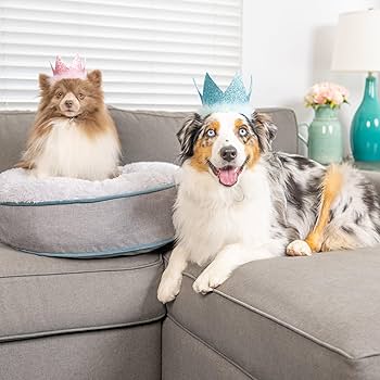 Huxley & Kent Party Crown for Pets, Blue, Large