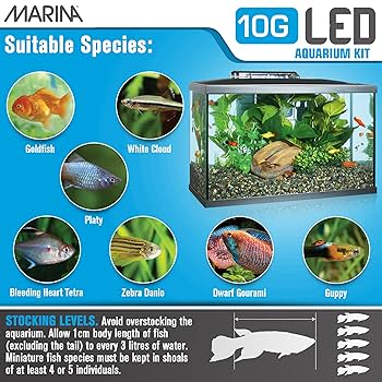 Marina LED Aquarium Kit - 10 Gallon - Complete Starter Kit